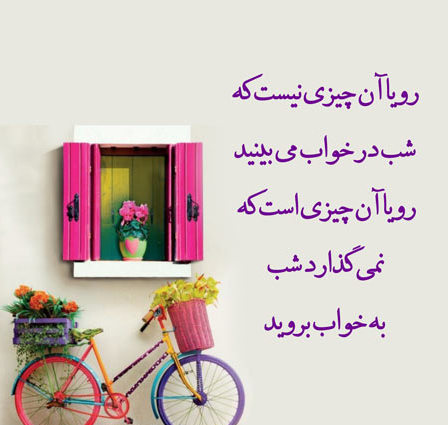 هفته اول آذر ماه 11 انسانی